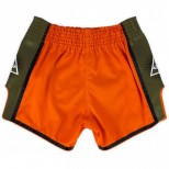 Тайские шорты Fairtex (BS-1705 orange)